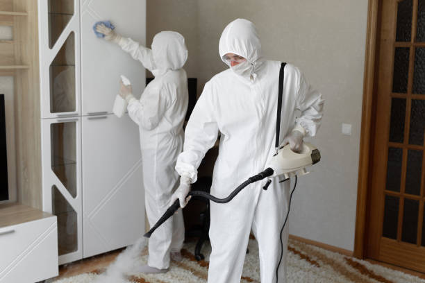 Best Residential Mold Removal  in Bishop, TX