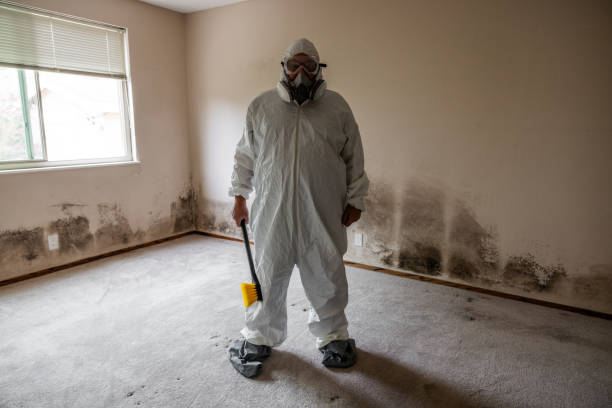 Best Mold Remediation  in Bishop, TX