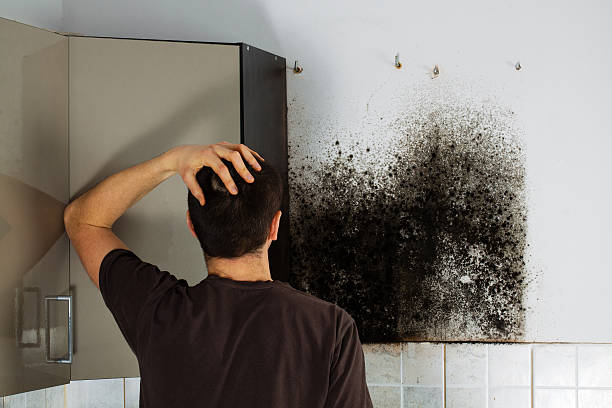 Best Mold Remediation  in Bishop, TX
