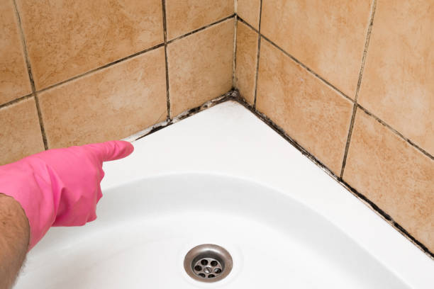 Best Mold Cleaning Services  in Bishop, TX